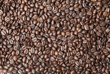 Roast coffee seed for background