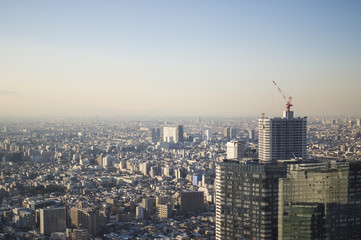 Fototapeta na wymiar The View From The Tokyo Metropolitan Government Office