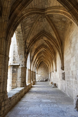 Cloître cathédrale Saint-Nazaire Celse