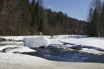 River in the forest with ice in the wate