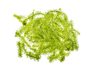 Fototapeta premium Umi-budou, grapes seaweed or green caviar on white background