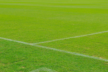 Obraz premium Football field