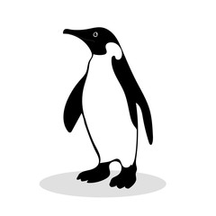 Obraz premium Penguin symbol family loyalty