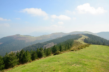 Fototapeta na wymiar Spring landscape, Basque Country