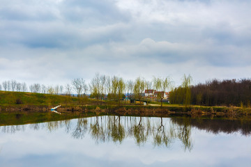 beautiful abstract landscape with trees and lake