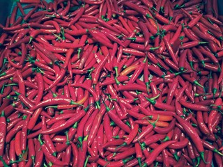 Fototapeta premium red chilis