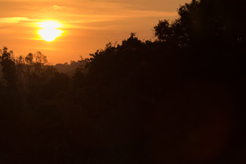 silhouette forest view while sunset