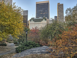 Obraz na płótnie Canvas Central Park, New York City