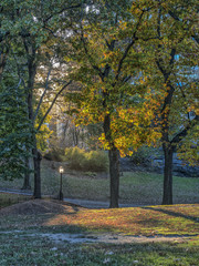 Central Park, New York City