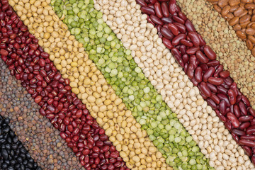 Multicolor dired legumes for diagonal background, Different dry bean for eating healthy