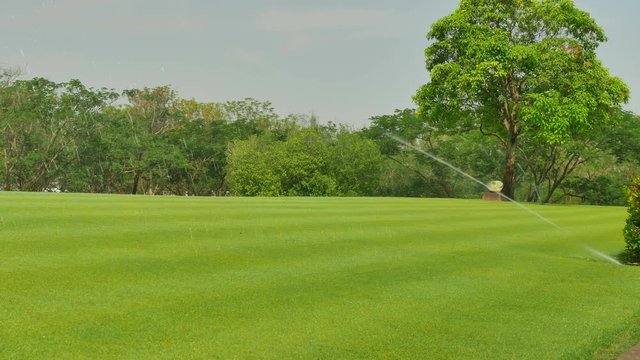 4k.water springer in garden. Springer watering the grass around