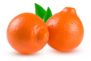 two orange tangerine or Mineola with leaf isolated on white background