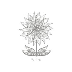 Modern illustration with flower icon and simple Spring text