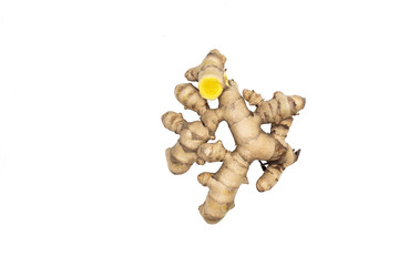 isolated yellow ginger or turmeric