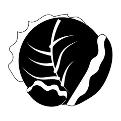 Vector flat cartoon style icon of cabbage. Black and white isolated illustration.