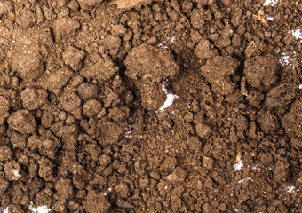 Fertile soil background