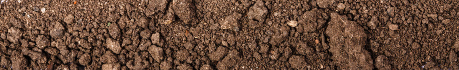Fertile soil background