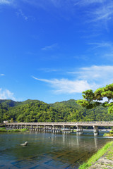 Fototapeta premium 渡月橋