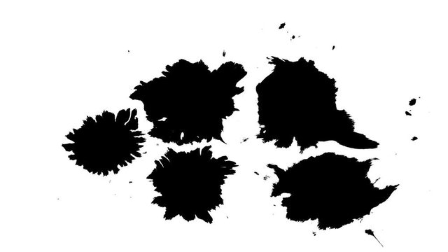 Several ink drops on the wet paper 01
