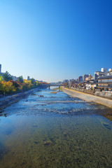 Fototapeta premium 秋の鴨川