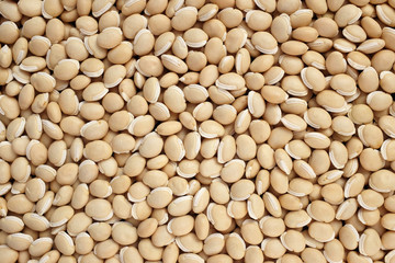 Bitter neavy beans background