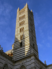 Fototapeta na wymiar La torre del Duomo di Siena