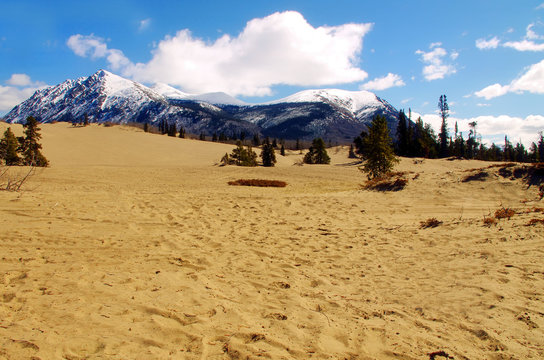Desert to Mountains