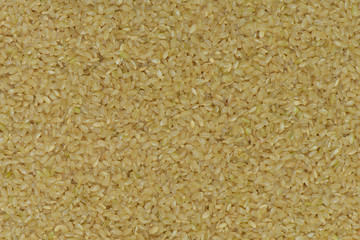 Japan coarse rice background