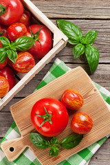 Fresh ripe garden tomatoes