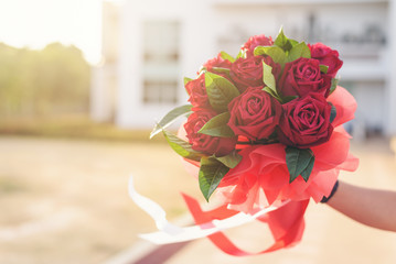 Hands holding bouquet of beautiful red roses.