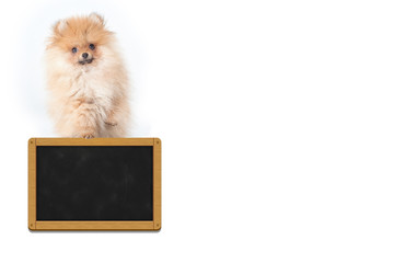 Puppy blackboard