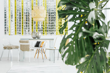 Plant in dining hall