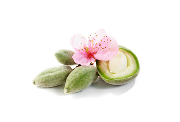Fresh green almonds with flower