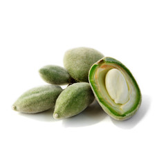 Fresh green almonds
