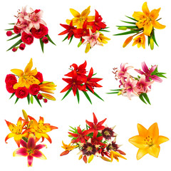 Collection lilies flowers and roses