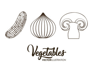 healthy vegetables icons over white background. vector illustration