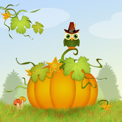 Naklejka premium owl on pumpkin