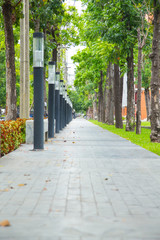 footpath with light pole in university campus or public park.