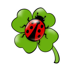 Marienkäfer