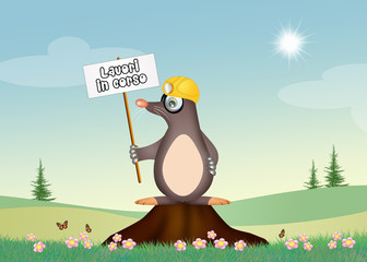 mole work in progress