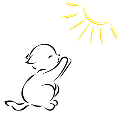 Vector black outline drawing of kitten in the sun on white background