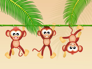 monkeys in the forest