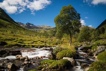 Naklejka na ściany i meble Mountain river in Norway