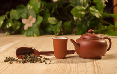 clay tea ceremony set - teapot and cup with green tea oolong on wooden table
