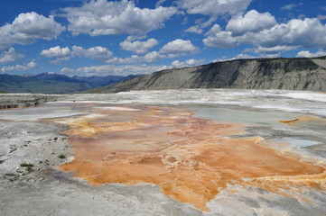 Mammoth Hot Springs, Wyoming, USA