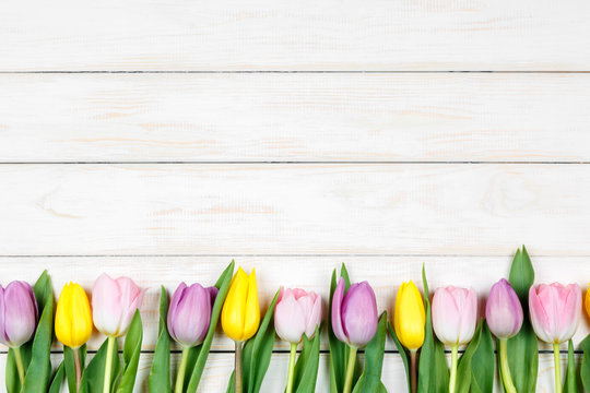 Line of pink and yellow tulips lying on a white wooden background