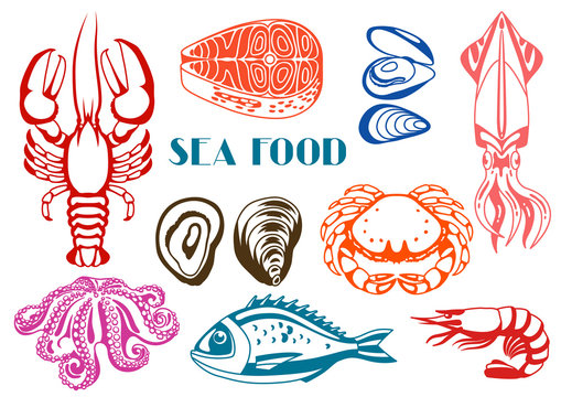 Various seafood set. Illustration of fish, shellfish and crustaceans