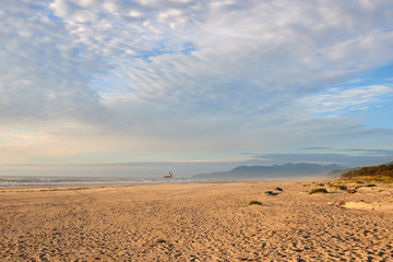 Fototapeta premium Oregon Coast at Sunset. View of a beach and ocean near Barview Jetty. USA Pacific Northwest.