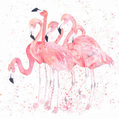 Fototapeta premium Akwarela flamingi z pluskiem. Obraz malarski