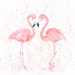 Watercolor flamingos with splash. Painting image